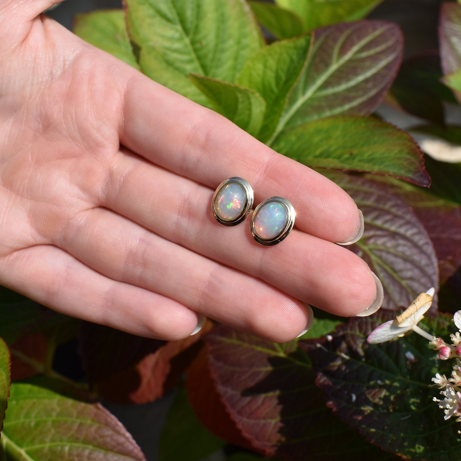 Pre-Loved Ethiopian Opal Round 9ct Yellow Gold Stud Earrings (Studs)