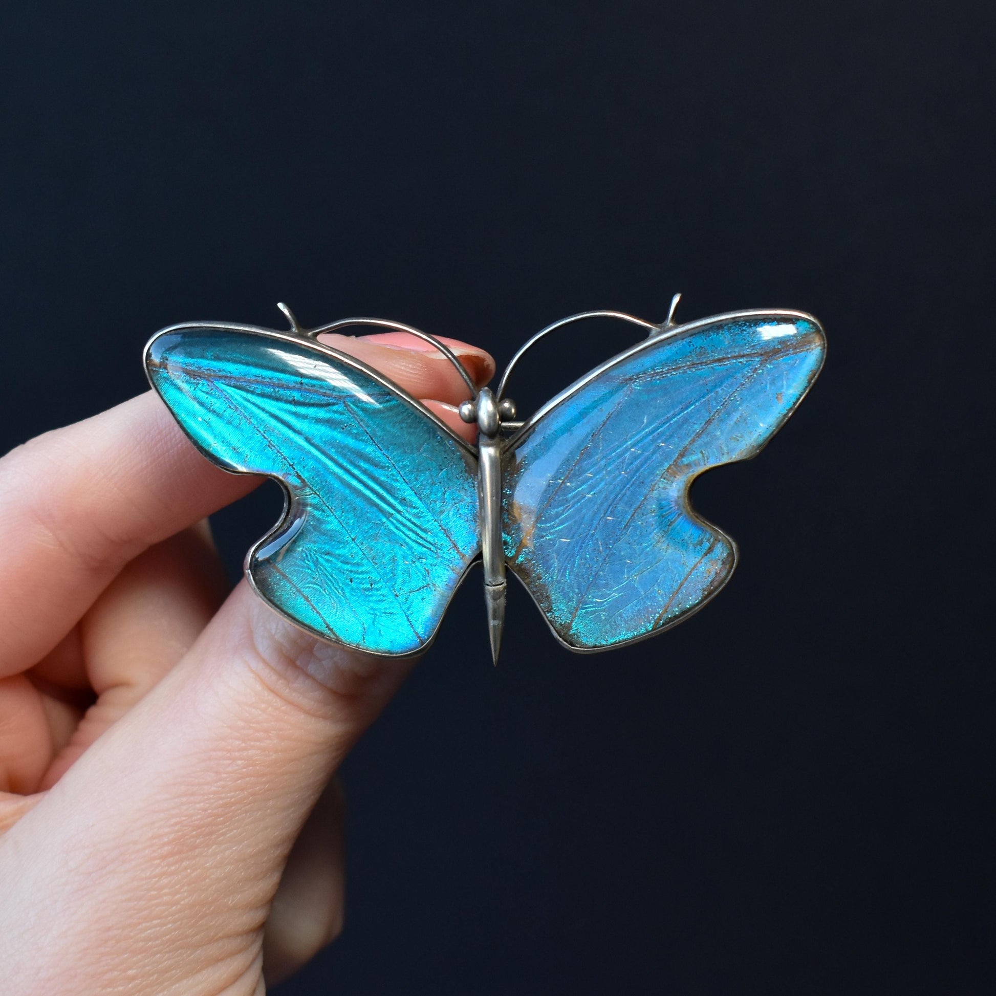 Antique Art Deco Sterling Silver Butterfly Wing Butterfly Brooch Pin